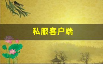 私服客户端 (10)
